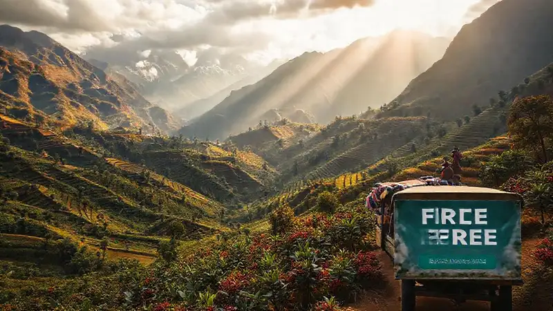 Café peruano: paisajes, tradición y color