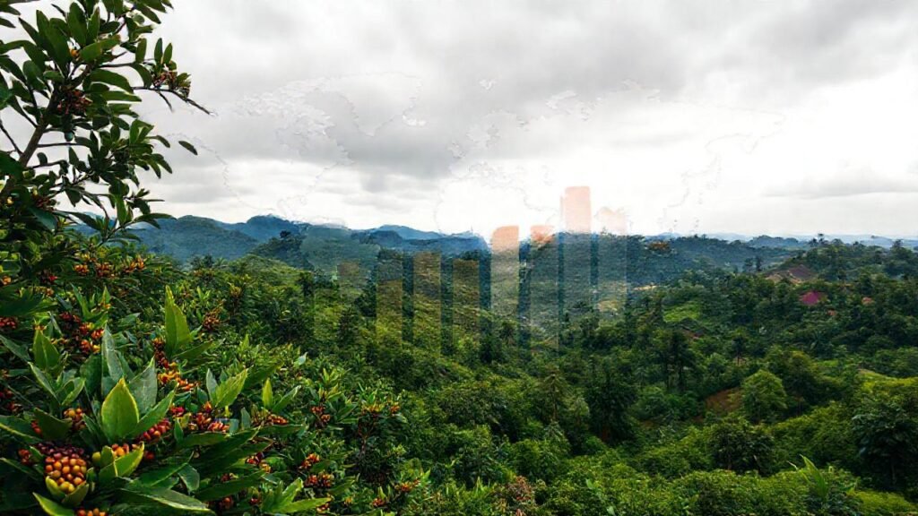 Plantaciones de café globales