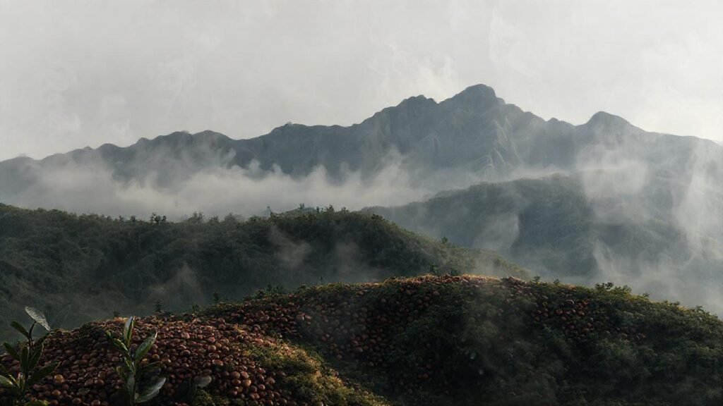 Café montañoso