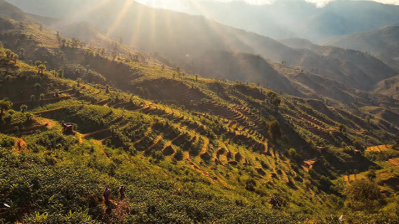 La finca etíope ofrece belleza y cosecha