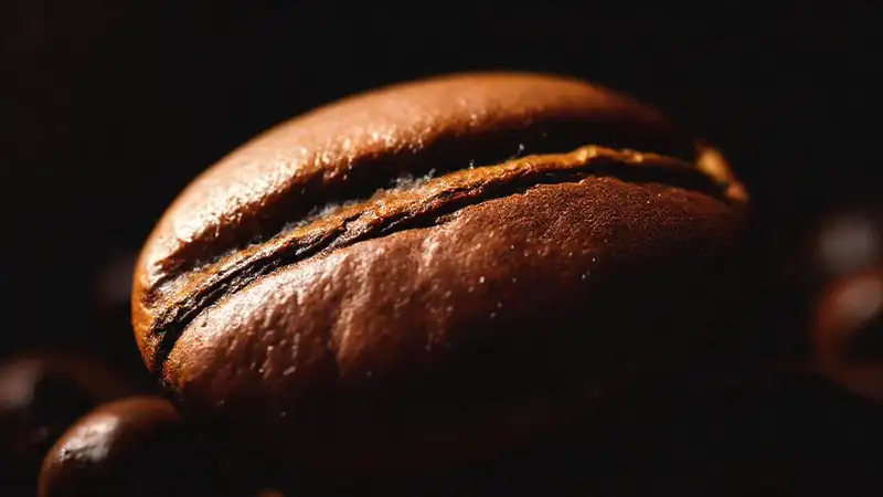 Frijol de café rico y brillante