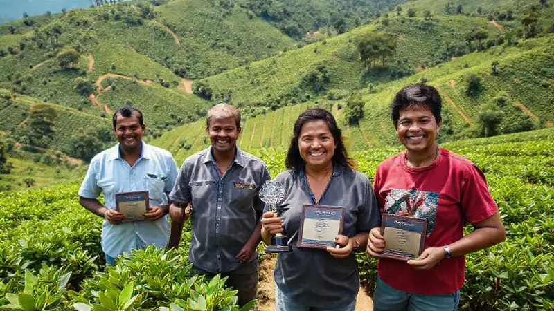 Café nicaragüense: belleza, premios y alegría