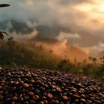 Café sumatraño: aroma intenso y textura cálida