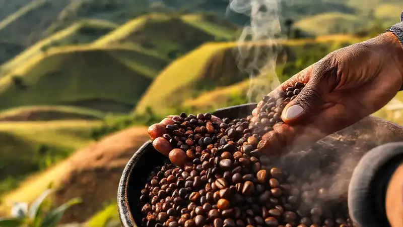 Café etíope: aroma