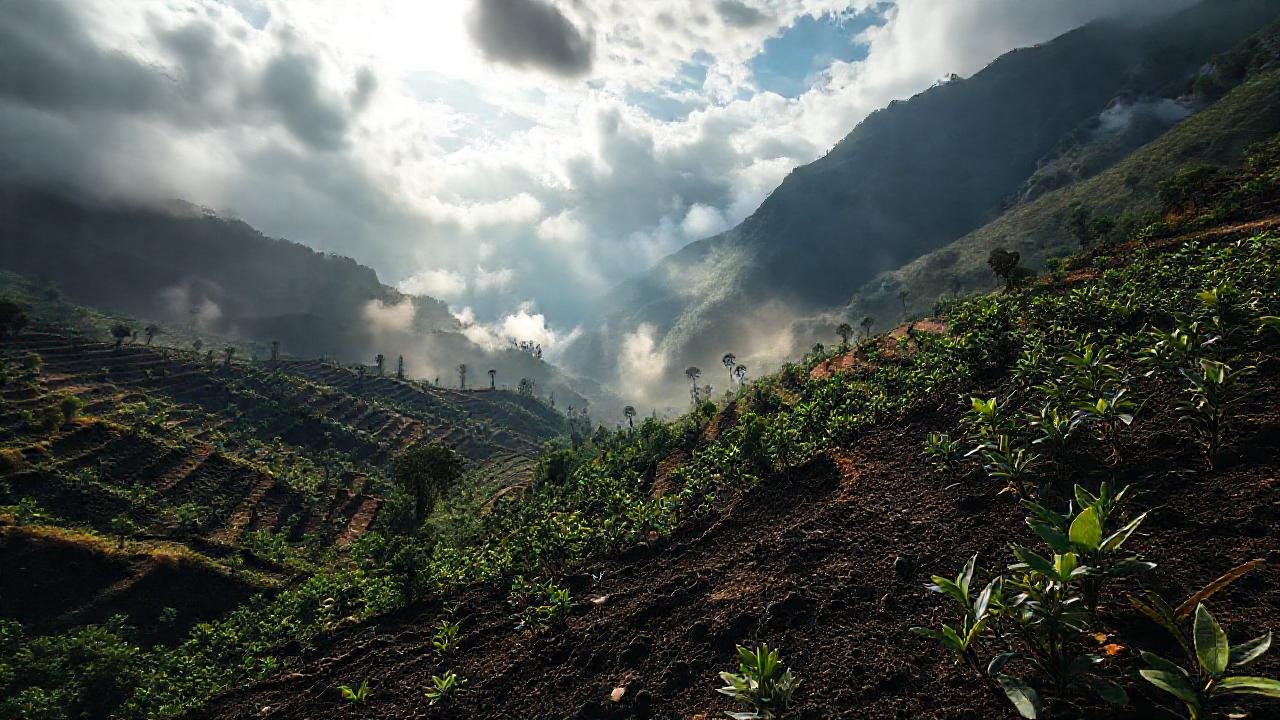 Café montañoso, tierra y luz dramática